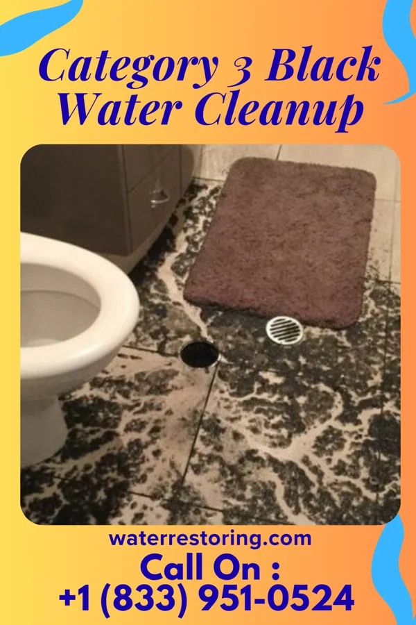 Category 3 Black Water Cleanup in Venice, IL