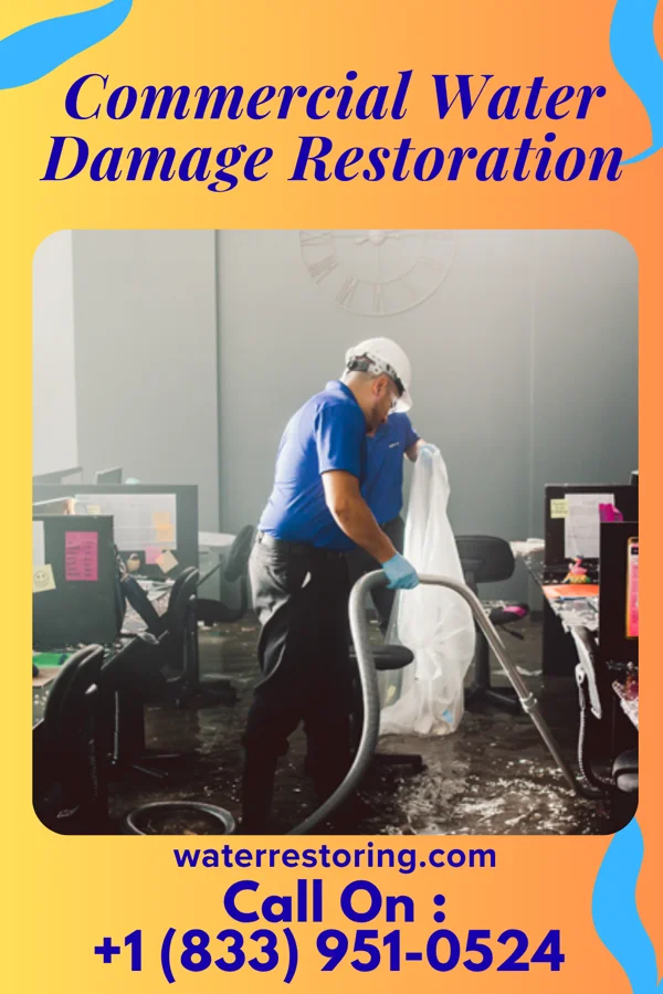 Commercial Water Damage Restoration in Venice, IL