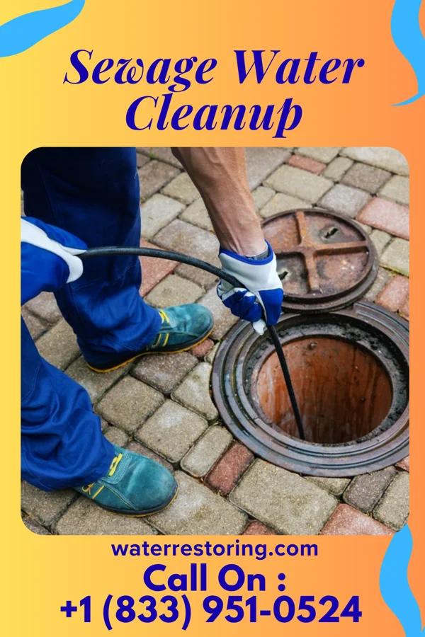 Sewage Water Cleanup in Venice, IL