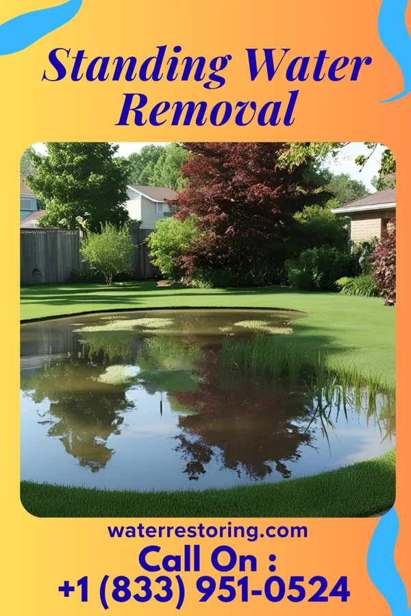 Standing Water Removal in Venice, IL
